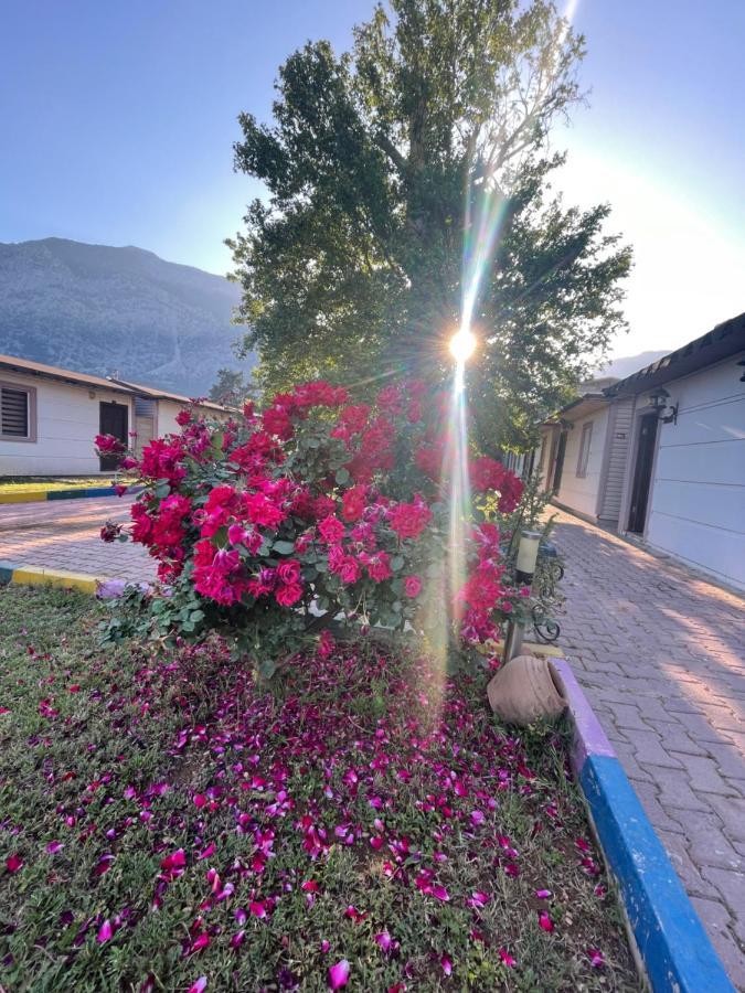 Ipsos Hotel Beldibi Kemer Exterior foto